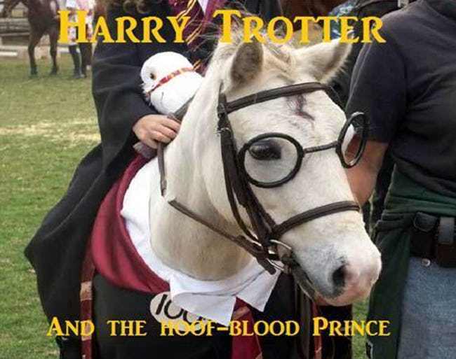 Harry Trotter